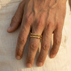 Men's Segmented Ring