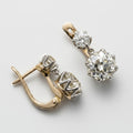 Women's Crystal Drop Earrings